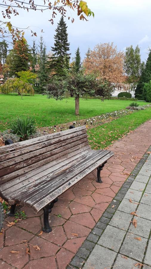 Apartman Mila, Banja Koviljača Kültér fotó