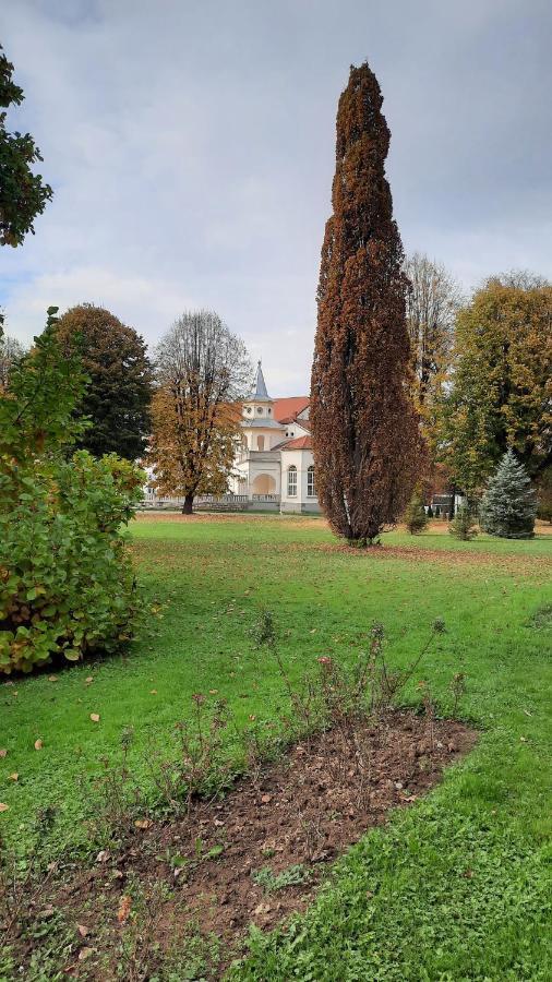 Apartman Mila, Banja Koviljača Kültér fotó