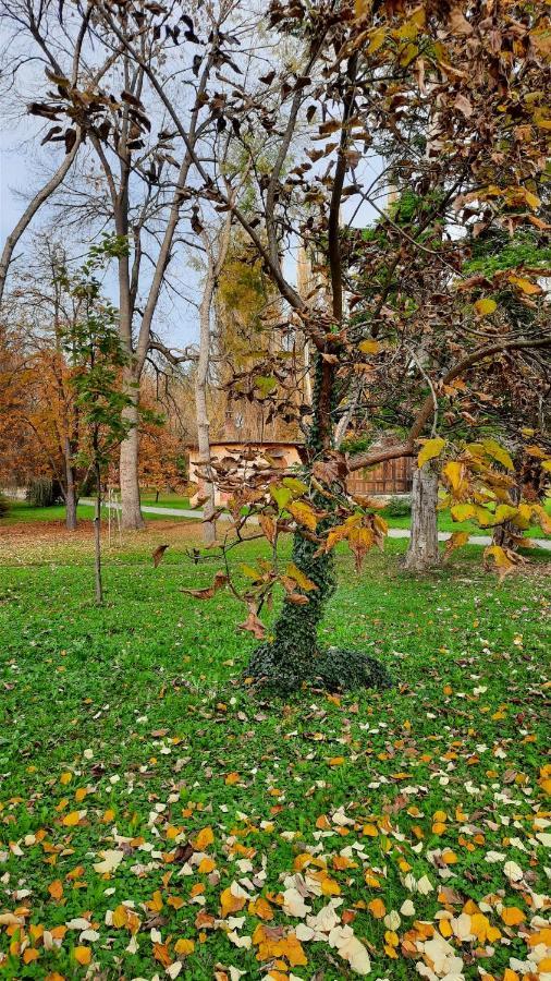 Apartman Mila, Banja Koviljača Kültér fotó